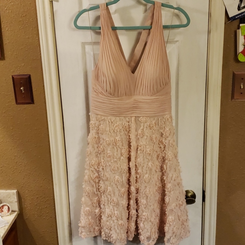 Blush colored mini dress with Floral skirt